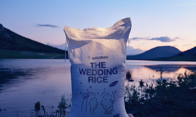 Wikifarmer - The Wedding Rice Video Design by McCANN Greece