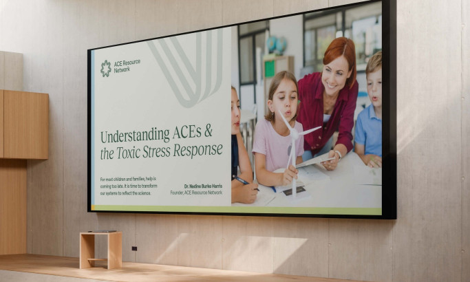 ACE Resource Network Print Design by Numinous