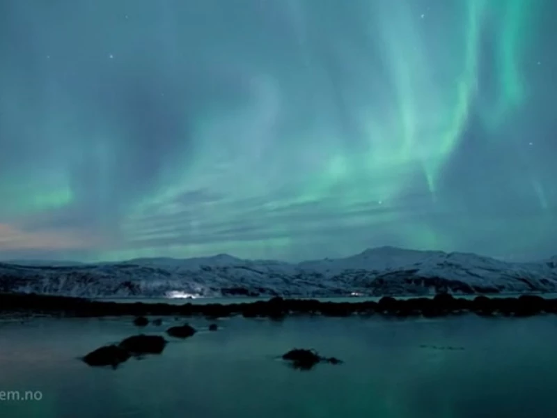 Arctic Motion