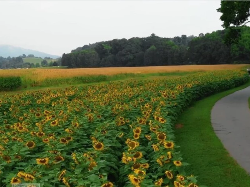 National Association Of Landscape Professionals
