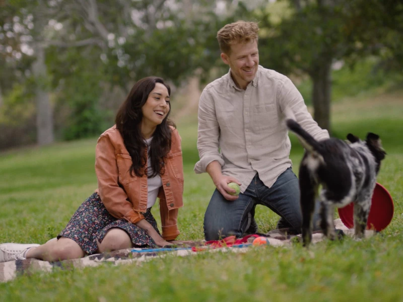 Petco Same Day Delivery