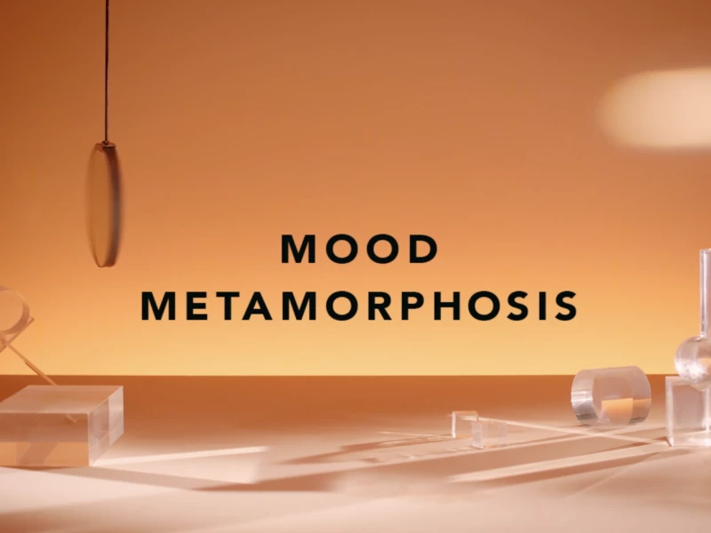 SHISEIDO Metamorphosis