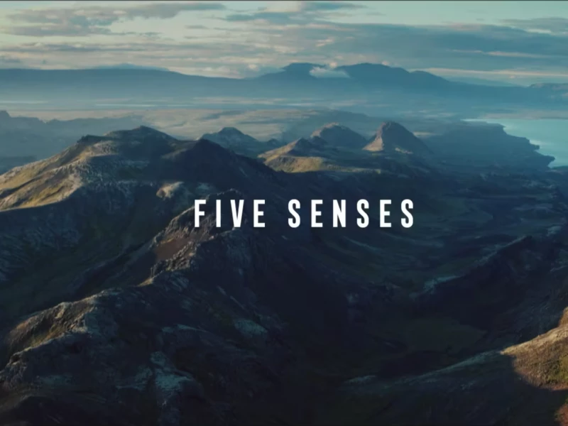 Turkish Airlines "5 Senses"