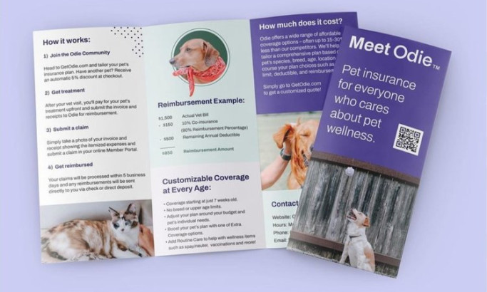 Odie Pet Insurance Print Design