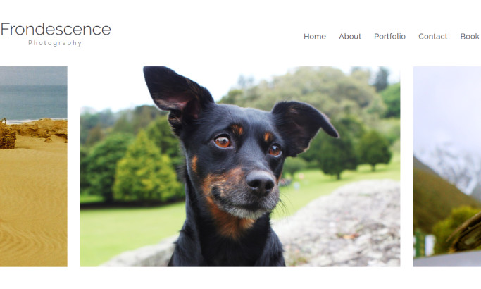 Frondescence Photography Web Design