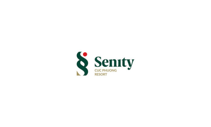 Senity Logo Design Analysis