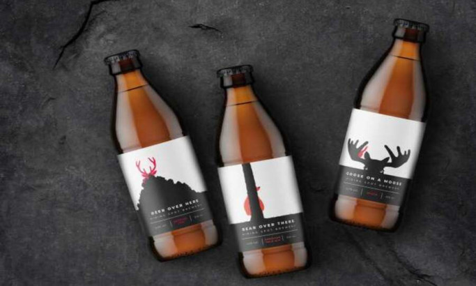 Hiding Spot Brewery Packaging Design Analysis