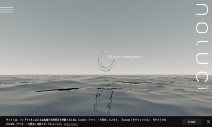 NOLUC Website Design Analysis