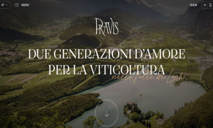 Pravis Winery Website Design Analysis