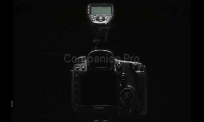 Neoluma Companion Pro Website Design Analysis