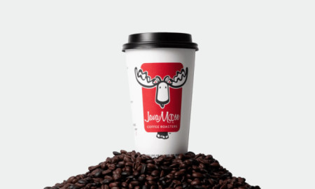 JavaMoose Logo Design Analysis