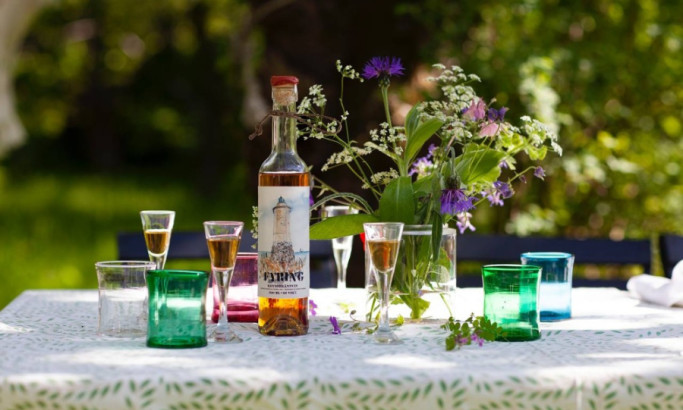 Fyring Packaging Design