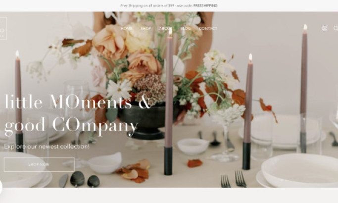 Mo & Co Home Web Design Analysis