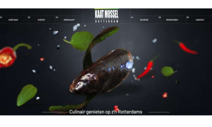 Kaat Mossel Website Design