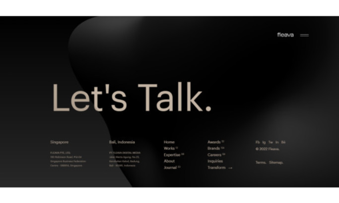 Fleava Website Design