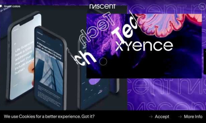 Nascent Design Website Design