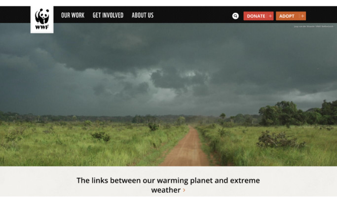 World Wildlife Fund Website Design