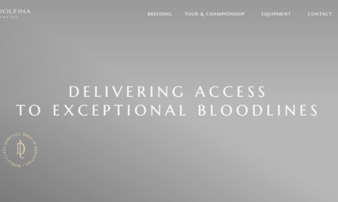 La Dolfina Jumping Website Design