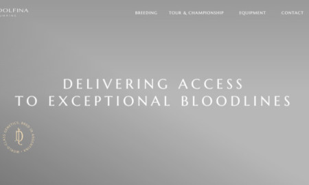 La Dolfina Jumping Website Design