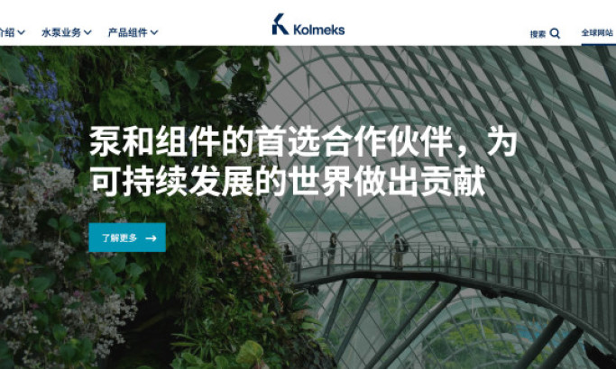 Kolmeks Website Design