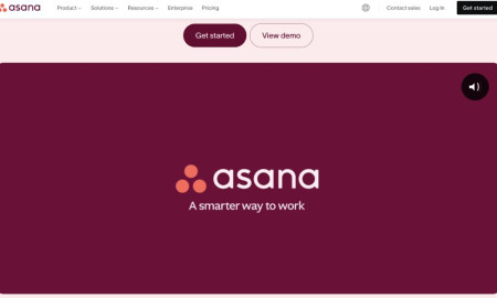 Asana Website Design