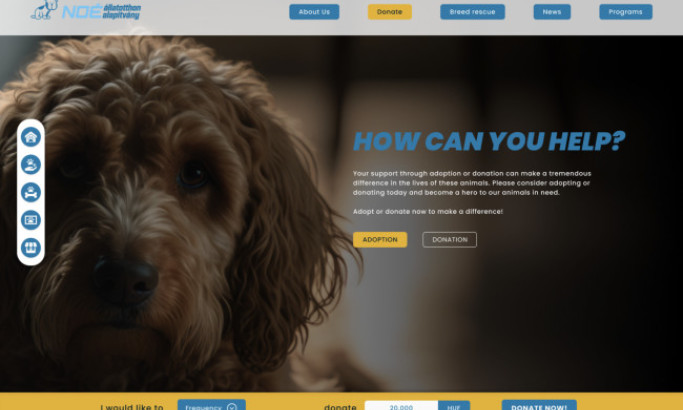 NOE Animal Rescue Center App Design