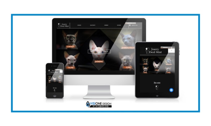 Josery Denl Mint website design by Visione Design