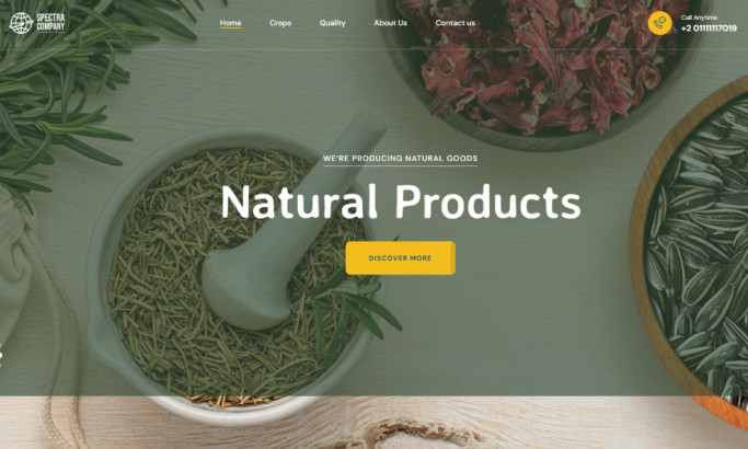 Spectra Company website design by AFKAR Marketing Agency