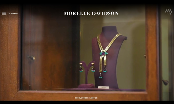Morelle Davidson Website Design by Elena Miron Design.