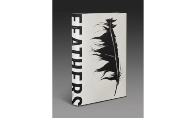 Feathers Book Cover Design