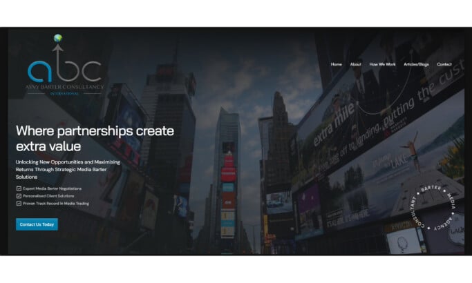 Avvy Barter Consultancy Home Page website design by Skwigl Digital.