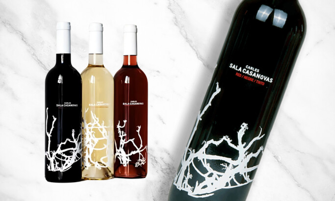 Carles Sala Casanovas Logo Design