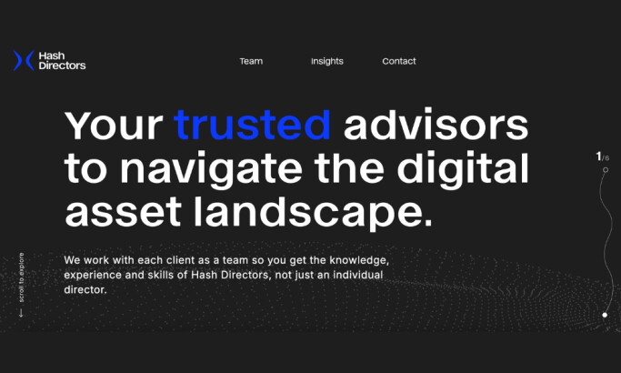 Hash Directors Website Design