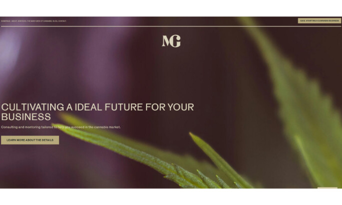 Marcelo Grecco Home Page website design by Moroby.