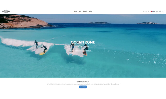 Ocean Zone Home Page website design by Ever Brands.