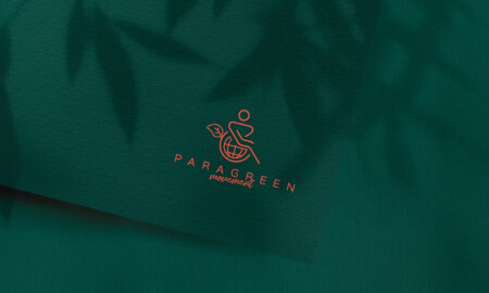 Paragreen Movement logo design by 3TA Design.
