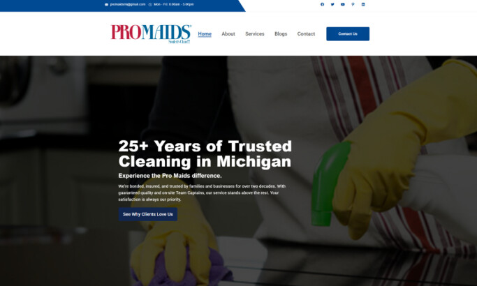 Pro Maids website design by AppWT LLC.