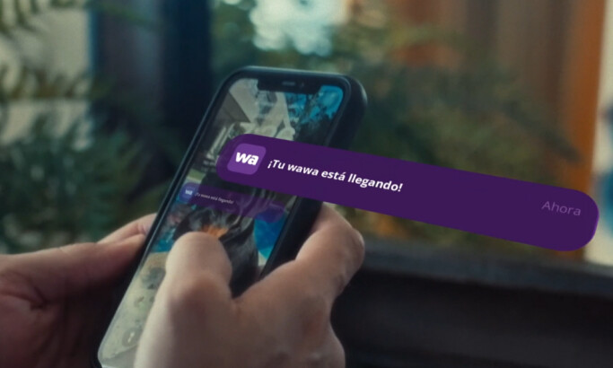 La Wawa & FVF | Comercial