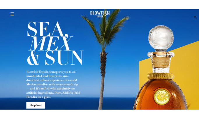 Blowfish Tequila website design by Web Casa Design.