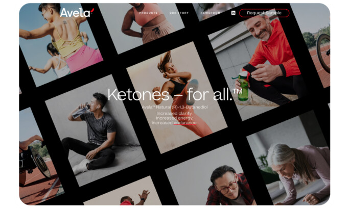 Avela website design by Storm Brain