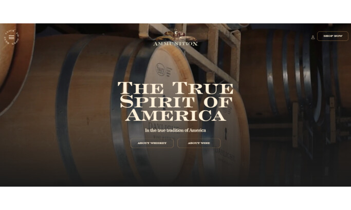 Ammunition website design by Storm Brain.