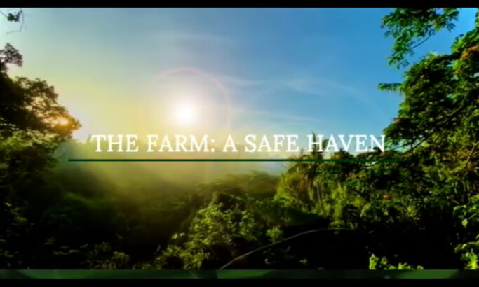 The Farm: A Safe Haven