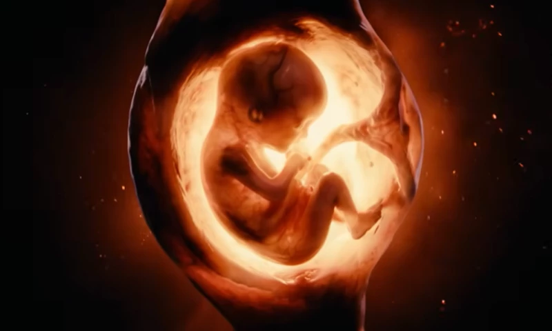 The Dor Brothers - Would You?