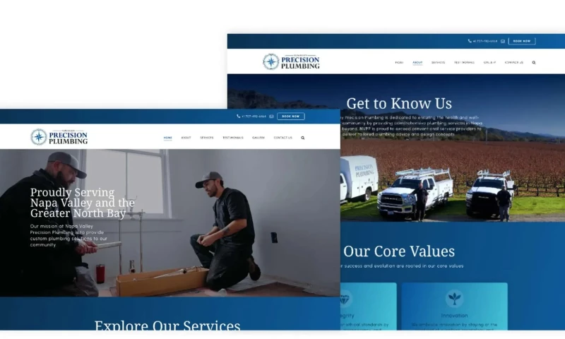 Digital Ink - NAPA PP - Website Build