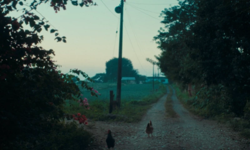 LOAF Brands - The Story of De La Calle