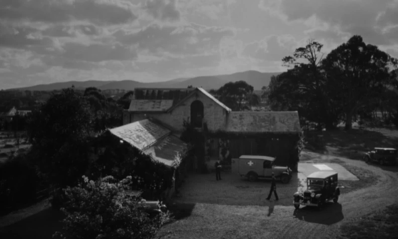 Curtis Hill - Thomas Cook / 100 Years