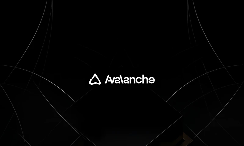 Elevate Studio - Branding a dev studio ecosystem