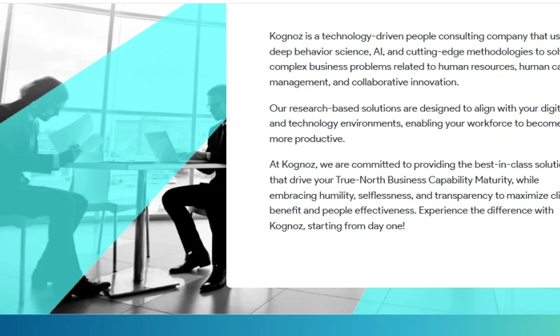 WebeXcellence - Kognoz website