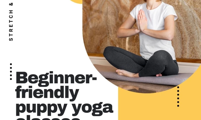 Indiafin Technologies Ltd - Stretch&fetch