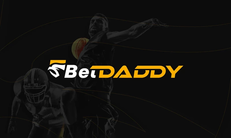 The Point Corporation - Betdaddy | Branding, Decent Design, UI UX design